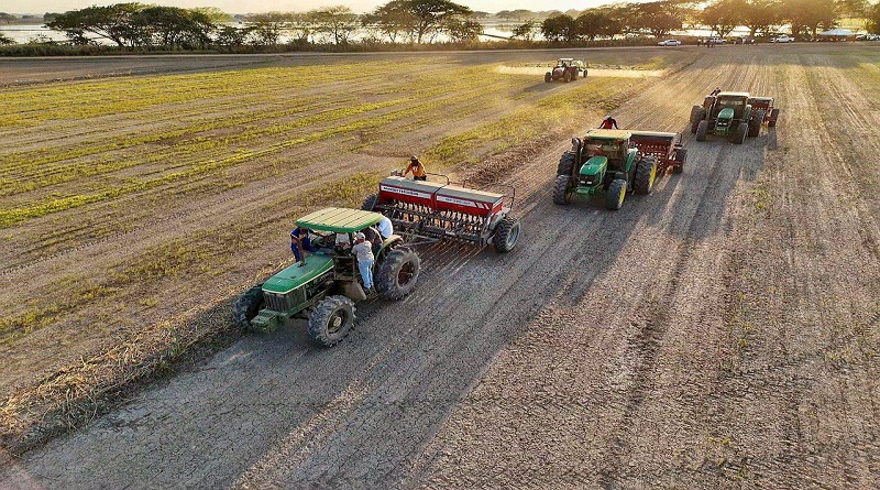 Guárico comienza la preparación para la siembra de arroz